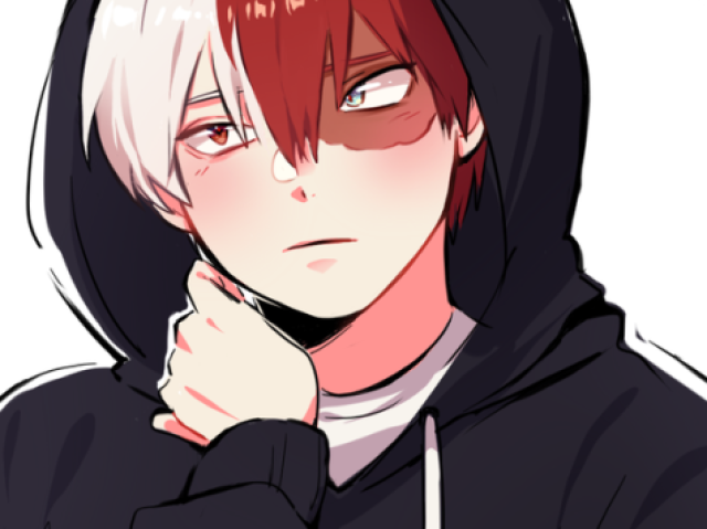 Todoroki