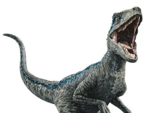 Velociraptor