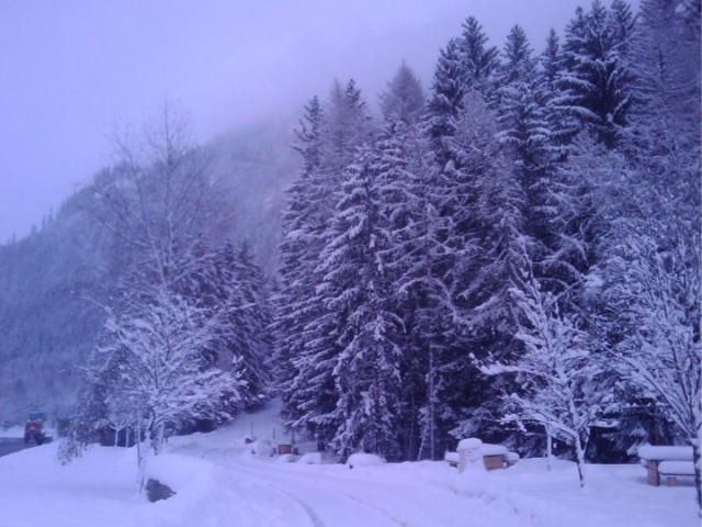 Num lugar cheio de neve para eu brincar e me divertir!