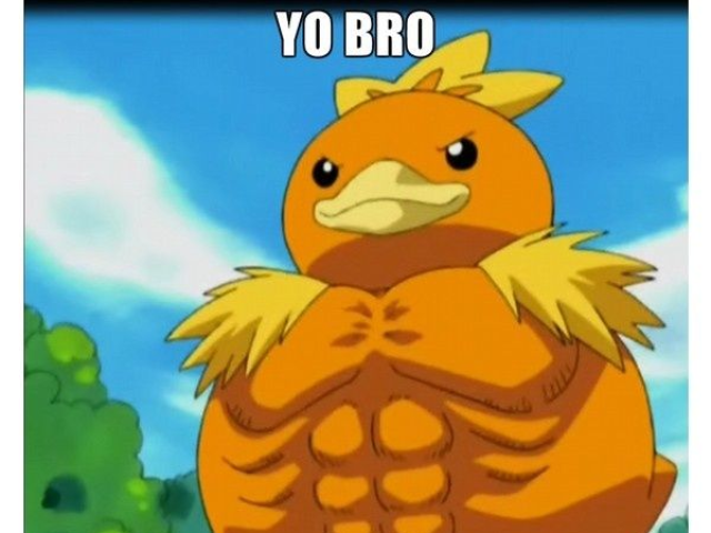 torchic