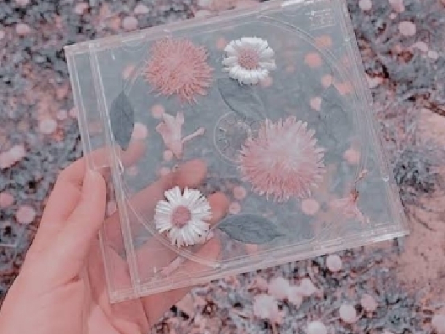 Dahora 🌻