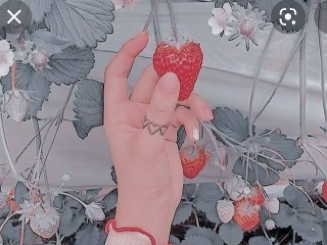 Fofo🍓