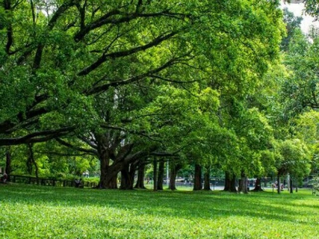 Praça pra conversar!