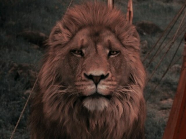 Aslan