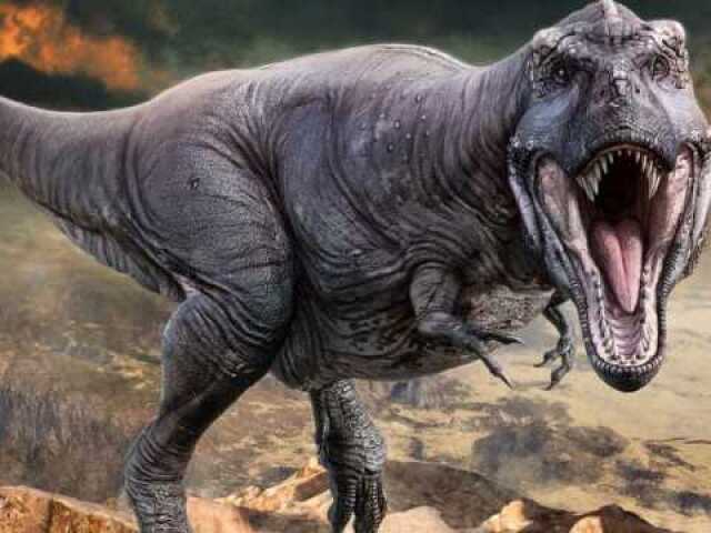 Tiranossauro rex