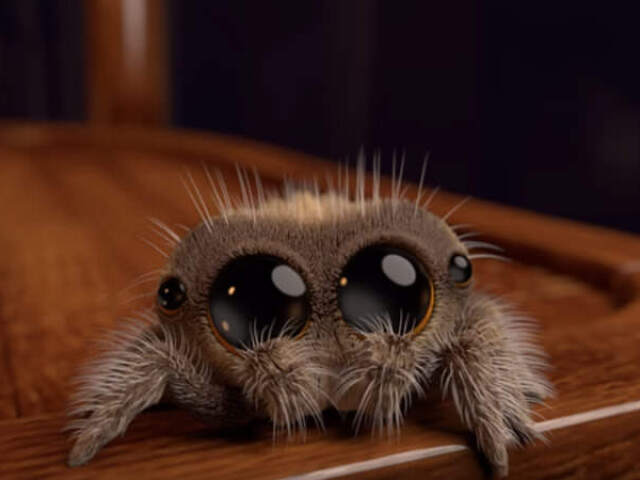 Aranha :>