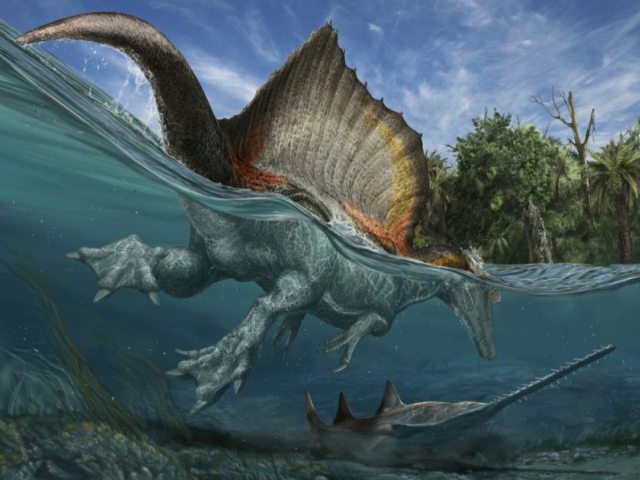 Spinossauro