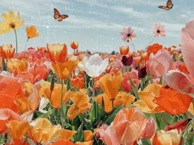 Primavera