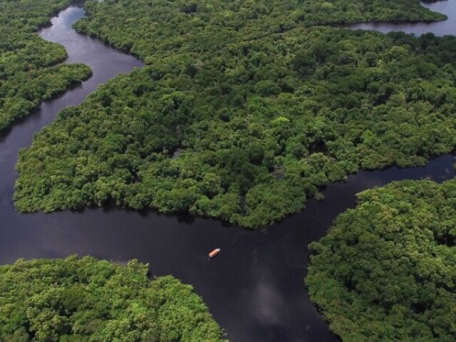 Na Floresta Amazônica.