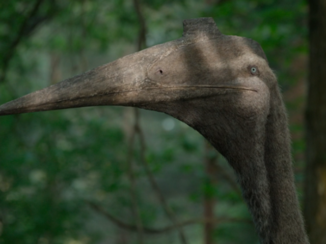 Quiz de Dinossauros!