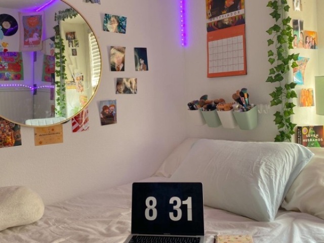 Quarto aesthetic ameii