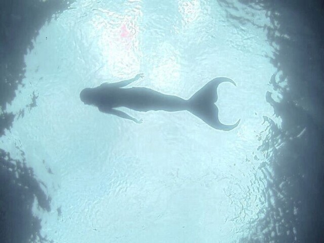 Sereia