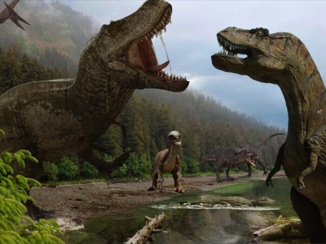 Você conhece os dinossauros?