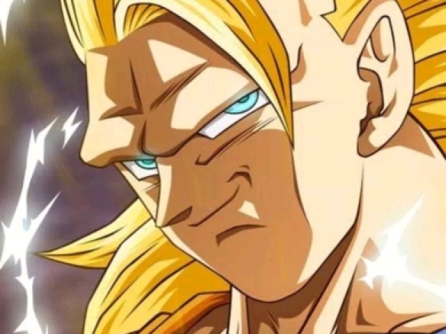 Ssj 3