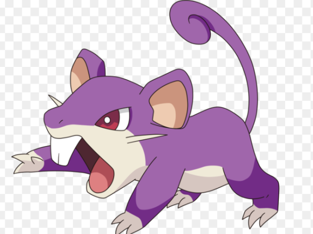 Rattata