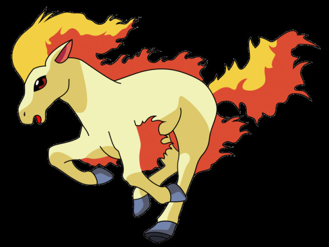 Ponyta