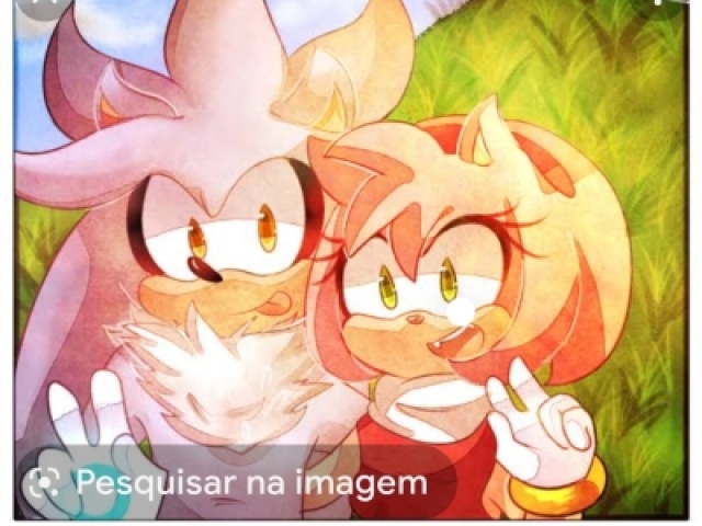 Amy Rose e a
Silver.