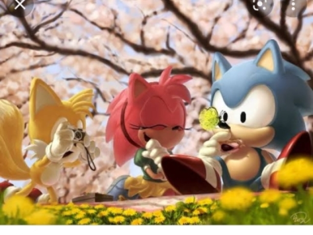 Sonic.Tails e Amy Rose