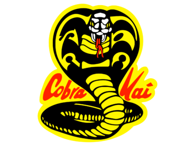 Você Conhece o Cobra Kai?