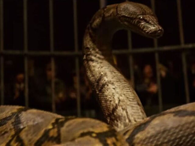 Nagini