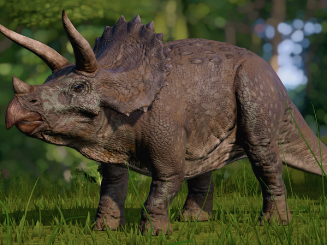 Triceratops