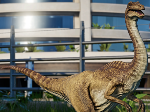 Galimimus