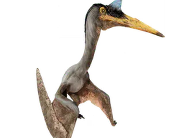Quetzacoatlus