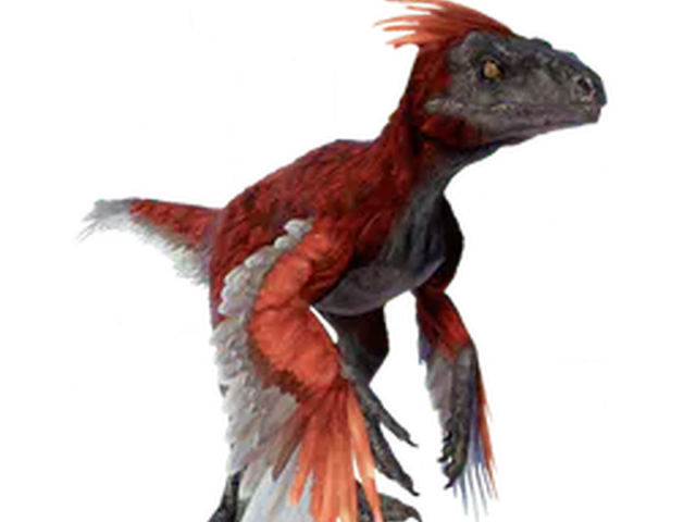 Pyroraptor