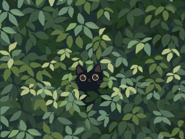 🐈⬛