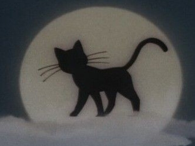 🐈⬛