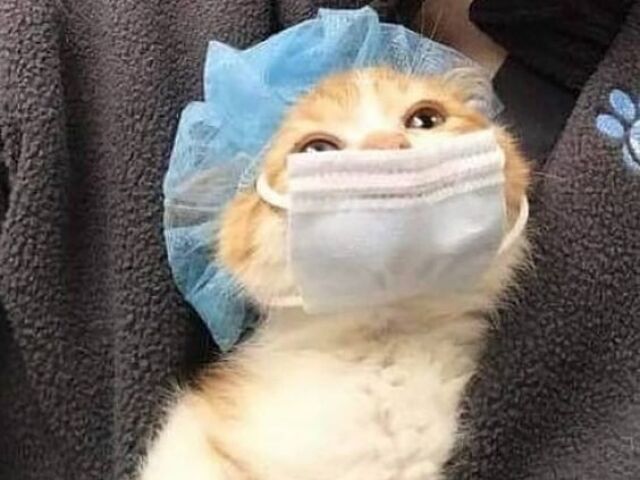 prefiro fica sem