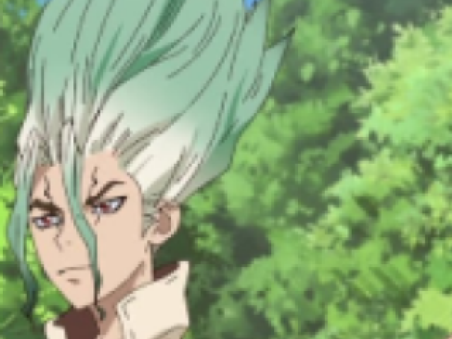 Dr. Stone