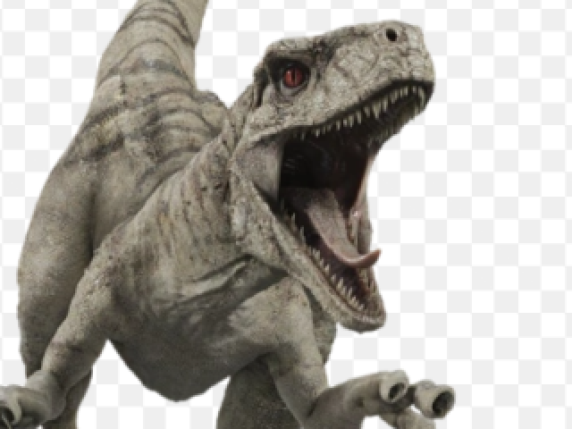 Atrocirraptor