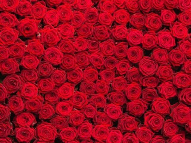 Rosas