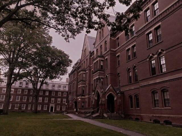 Dark Academy 🪐🖤🌙📜