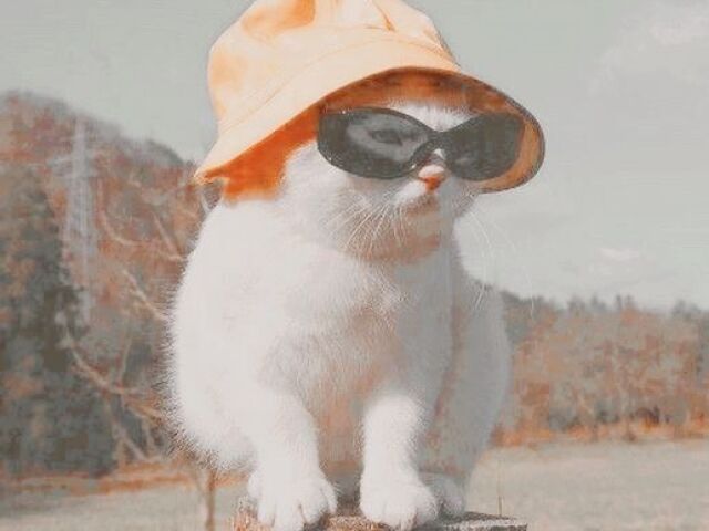 ๐ฎ๐ฆ ๐ ๐๐ญ๐จ ๐๐จ๐๐จ