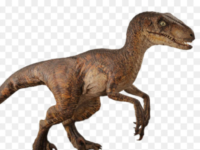 ficaria de cara com um Raptor