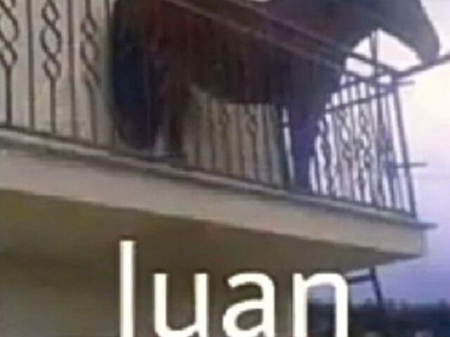 juan