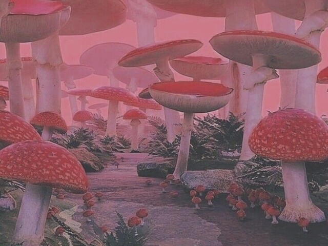 (*˘︶˘*). 。*♡