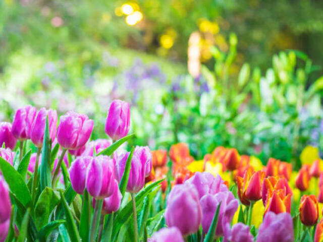 Verão e primavera