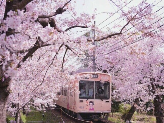 Verão e primavera