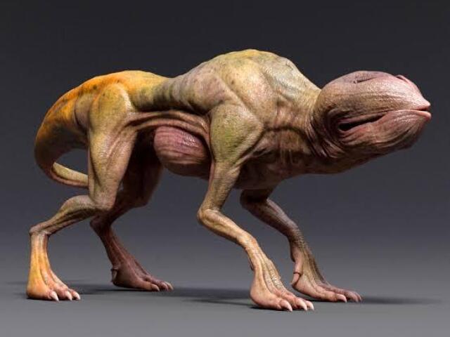 Demondogs