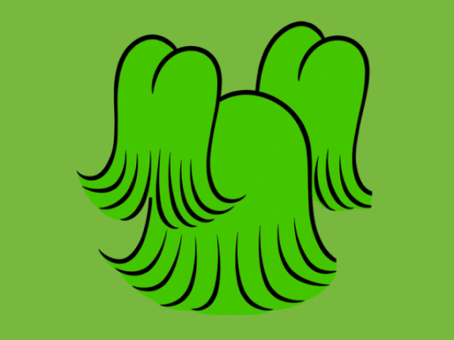 Floquinho