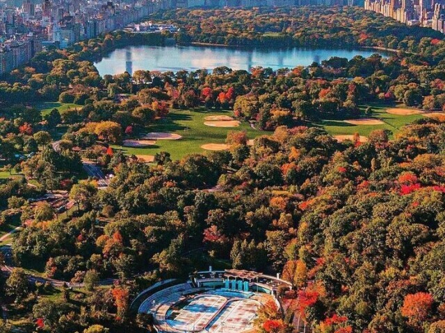 Central Park