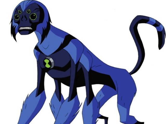 Macaco Aranha