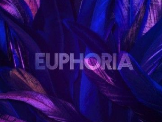 🎇 Como você iria em uma festa euphoria 🌈