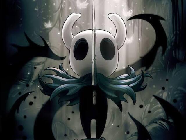 Hollow knight