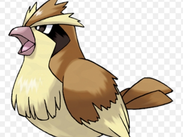 Pidgey