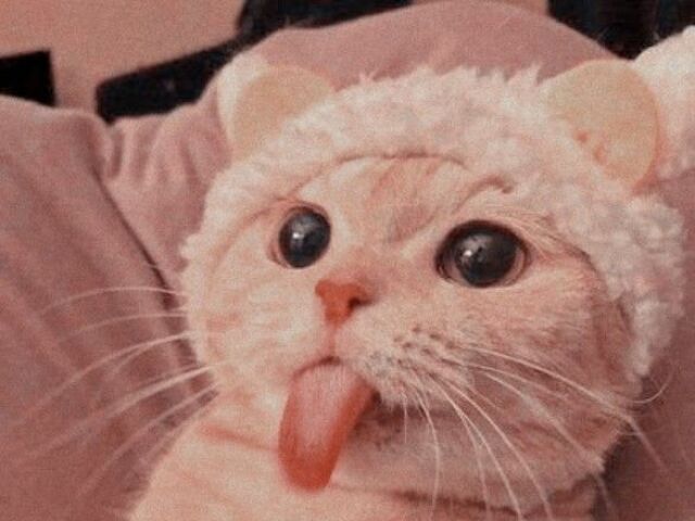 ๐