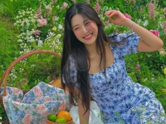 Joy ( red velvet )❤